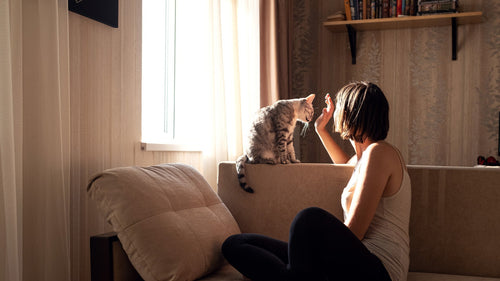 Why boredom is the best thing for your brain & why we've lost the ability to feel it