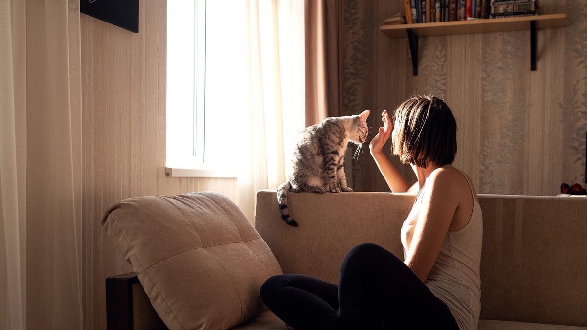 Why boredom is the best thing for your brain & why we've lost the ability to feel it