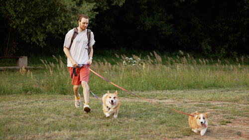 How to support healthy dopamine function & what actually works