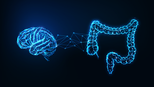 Why your gut is your second brain