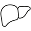 Liver
