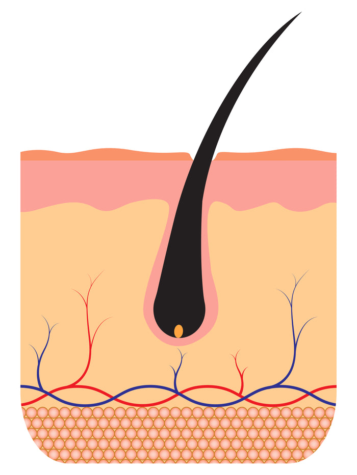 Why Hair Saviour® works