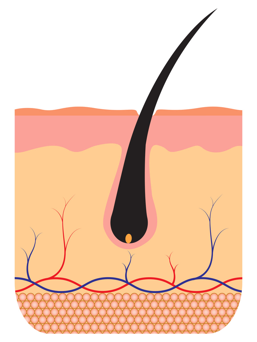 Why Hair Saviour® works