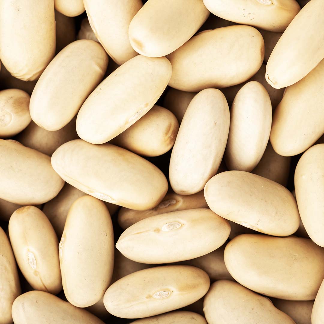 info-1-1 Phosphatidylserine – DR.VEGAN