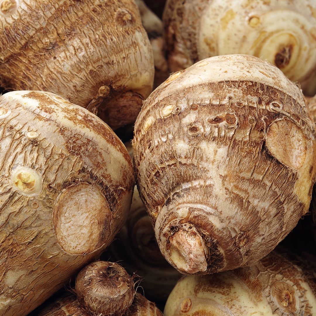 Wild Yam – DR.VEGAN