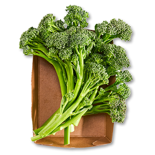 Alimentos ricos en fibra