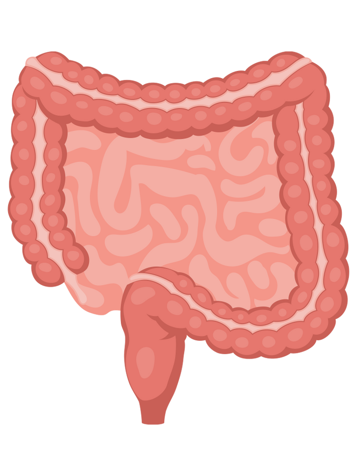 Why Gut Works® works