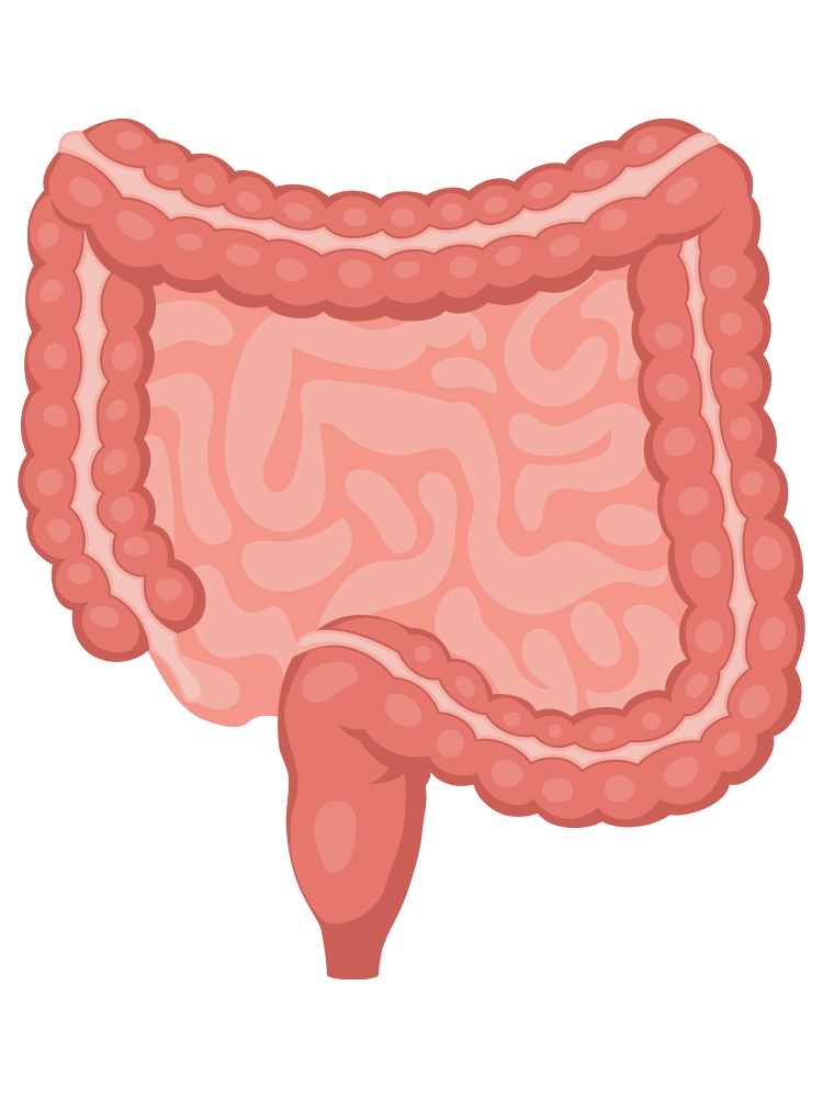 Why Gut Works® works