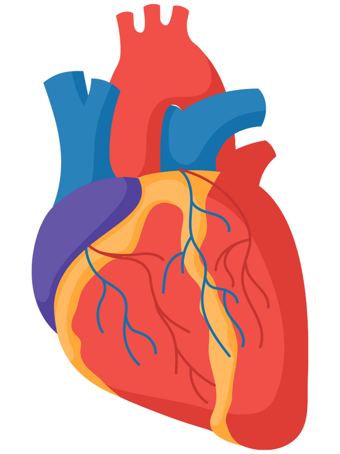 Why HeartPro® works