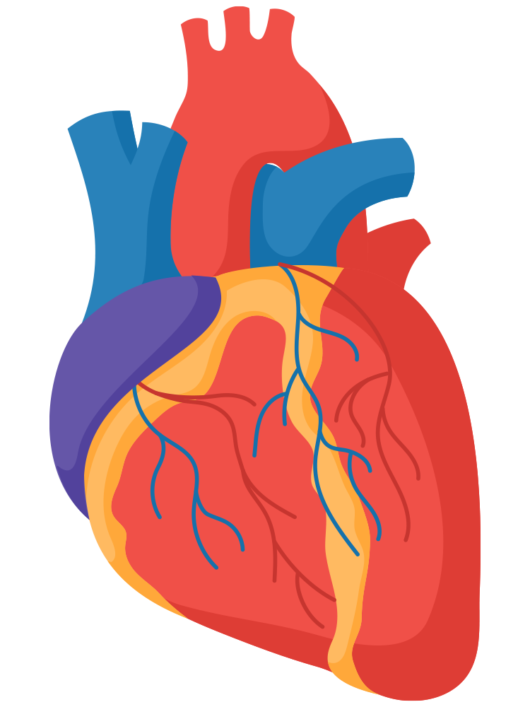 Why HeartPro® works