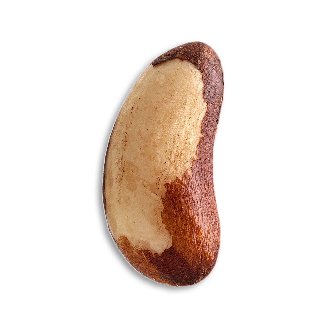 Brazil nuts