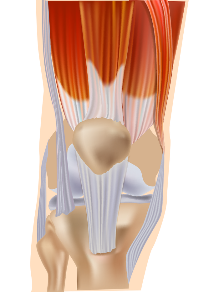 Why Protein & Creatine Superblend works