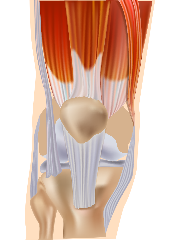 Why Protein & Creatine Superblend works